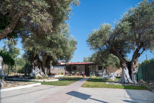 Dimitra's Apartment in Makri