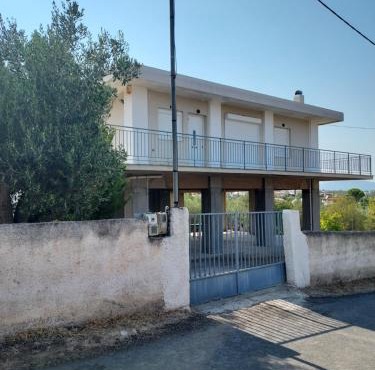 Dimitri's house in Dhílesi