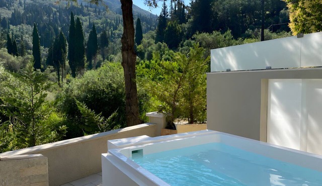 Doliva Studio 6 Apartment with Private Pool in Achillii