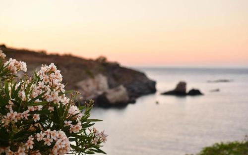 Elefthia Syros - Luxury Houses & Suites in Megas Yialos-Nites