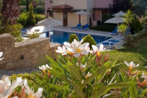 Eligia Villas in Mixórrouma