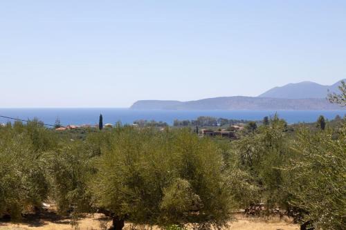 Enada Suite & Olive Farm in Gythio