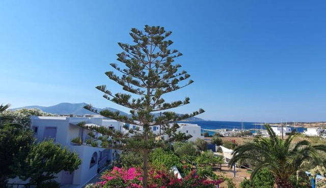 Ermis Koufonissi in Koufonisia