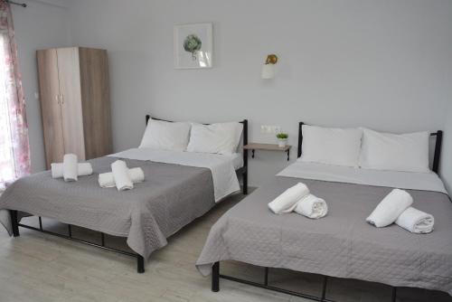 Gatos Village Studios & Apartments in Asprovalta