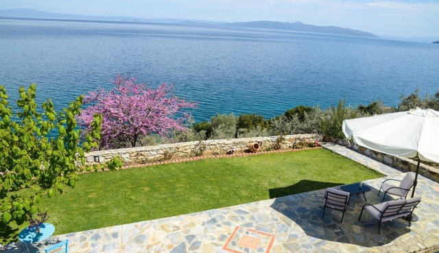 Goddess Athena Apartment