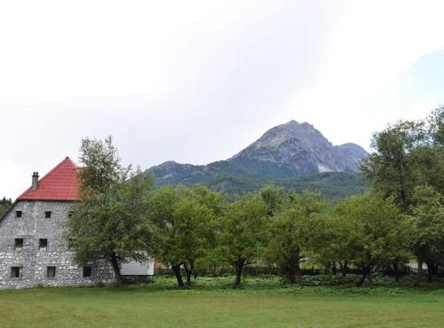 Guesthouse Jezerca in Valbonë