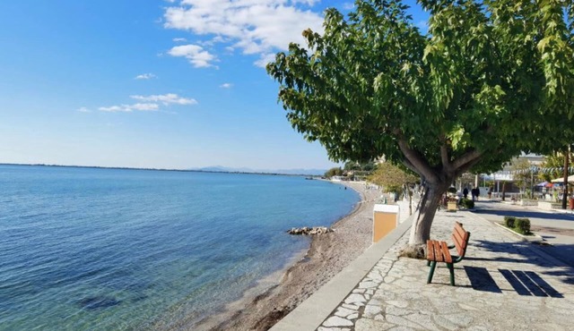 Hotel Delfini – Seaside Twin Room, Menidi