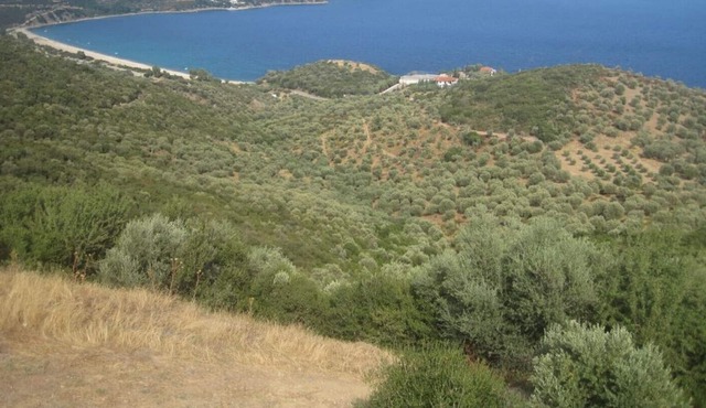 House SOFIA - Quiet house with a large garden for a relaxing holiday in Pyrgadikia