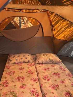 iCampJal Beach Camp and Bar in Jal