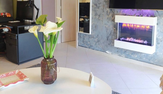 jim villa2 family apartment wi-fi 500 starling we accept pets
