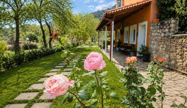 Kalavrita Milodesi Country House with Fireplace