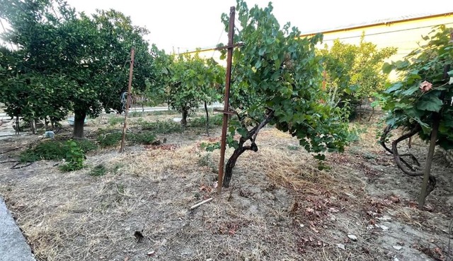 Lovely spacious house with big garden in Elbasan