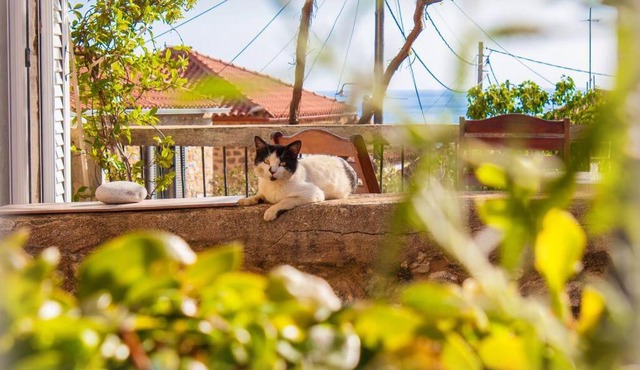 Lucy's Home in Riglia