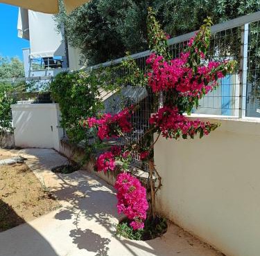 Maria 5 Minimalist newly built maisonette