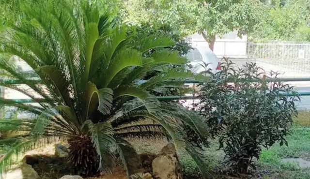 Marousi Residence with Garden