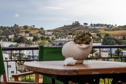 Melitinis House Leros in Alinda