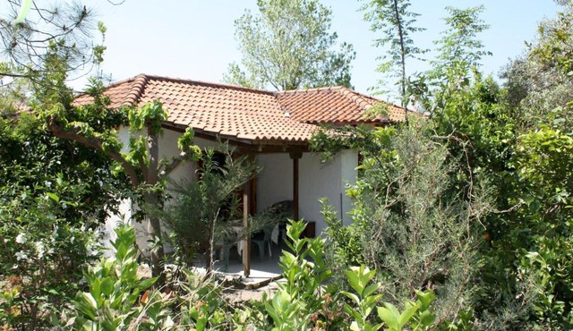 Nikos 5 in Zacharo