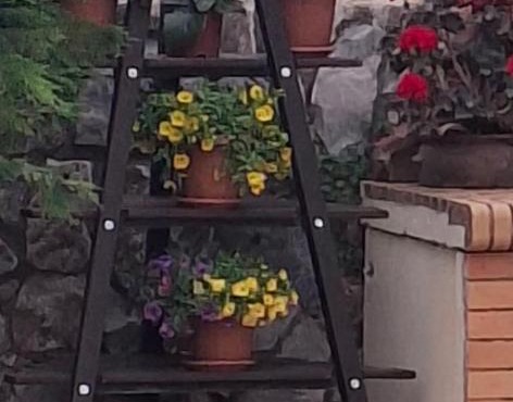 Nikos Studio