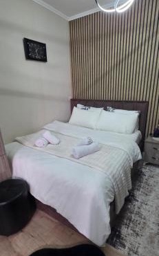 Noeli's Apartment in Tirana