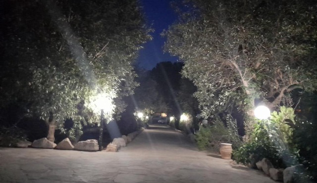 Oasi in Salamina