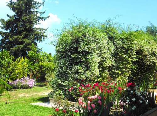 Olga's Hill in Perama