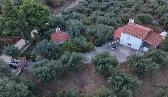 Olive Horizon Villa in Skidra