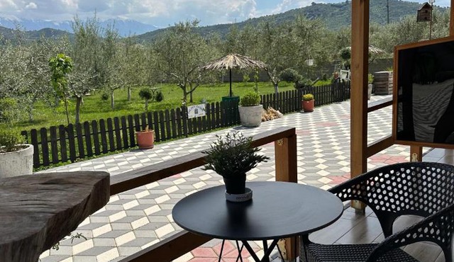 Olive Oasis Studio in Berat