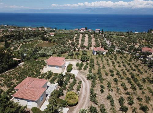 ORFANOS 3 in Kalamata