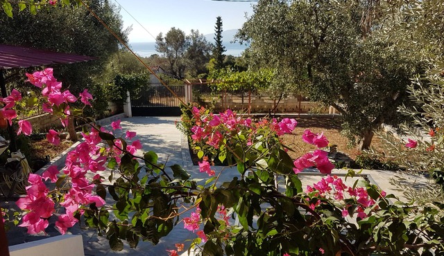 Panorama1: A Comfortable Vacation Apartment in Eretria