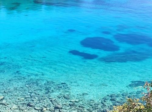 Pansion Nikos