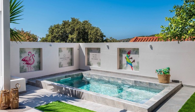 Paradissia Luxe Villa with Private Swimming Pool