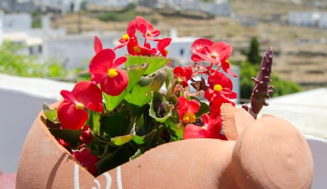 Pension Hlias - Chora Amorgos