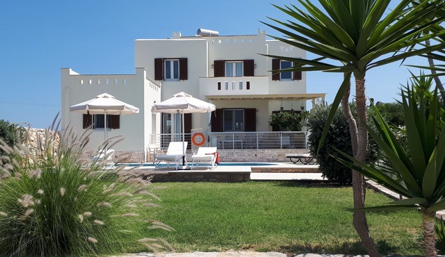 PLAKA ,SEA VIEW VILLA WITH PRIVATE POOL AND GARDEN, 700 M. FROM PLAKA BEACH