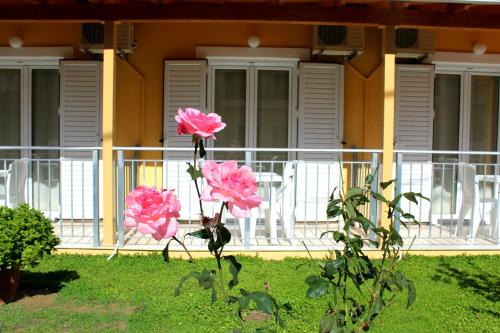 Rantos Apartments in Kavos