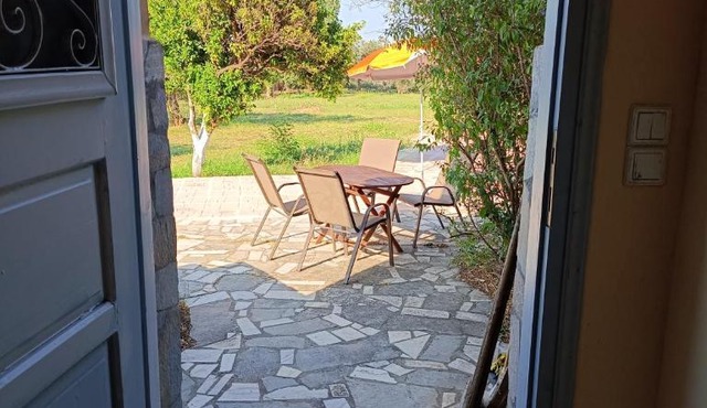 Seaside olive grove