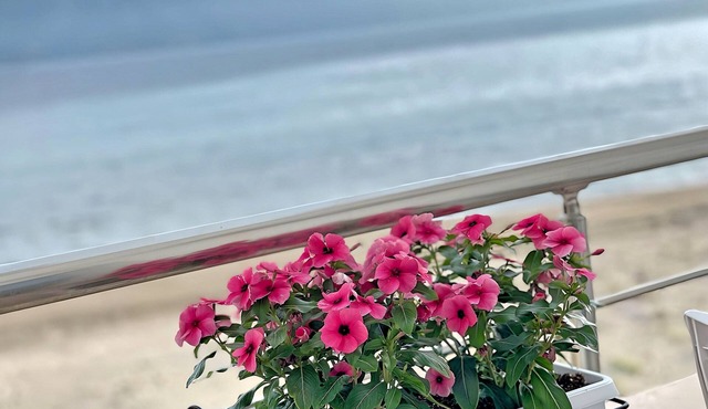 SeaView Apartments Rental Vlore in Vlorë