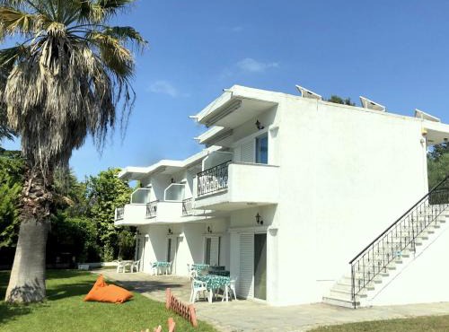 Sophies Olive haven in Possidi