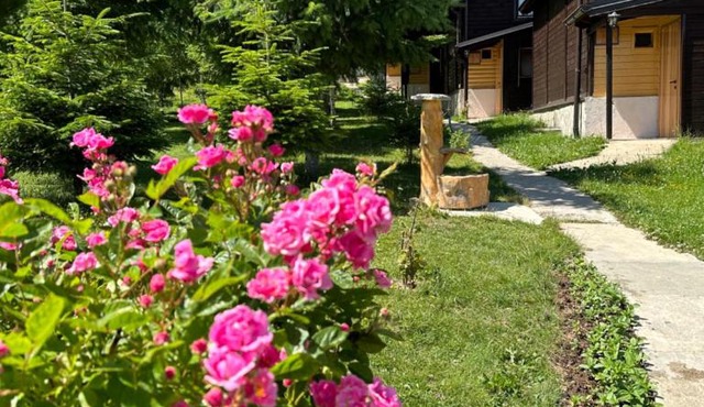 Stanetestruzhes in Prizren