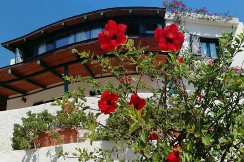 Strofi House in Argoulés