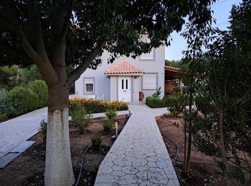 Studio Katafigi in Athens