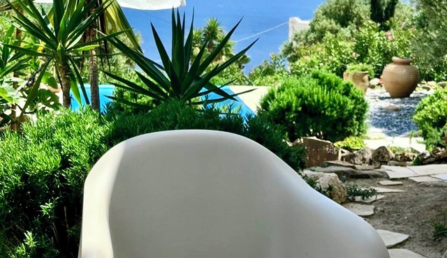 Studio with magnificent sea view and gardens in Kastri