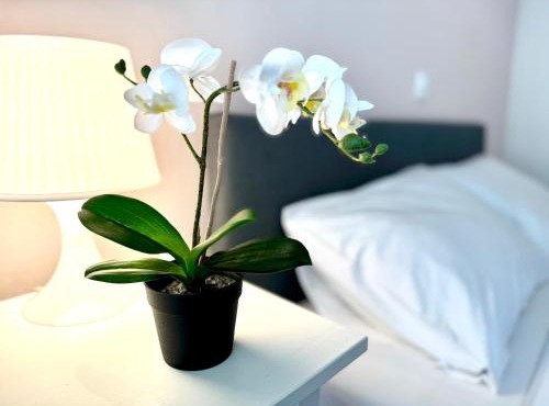 Sun Beach Apartment in Anavyssos