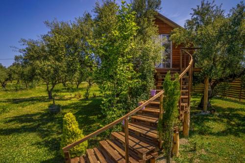 Terra Vine Collection - FairyTale in Koukounariá