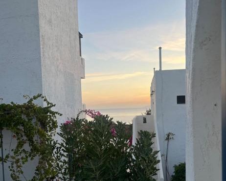 Thalia Bloom Villa Apartments in Agia Pelagia