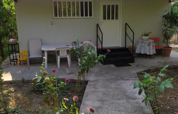 The Green Garden in AGIA VASSA SMALL