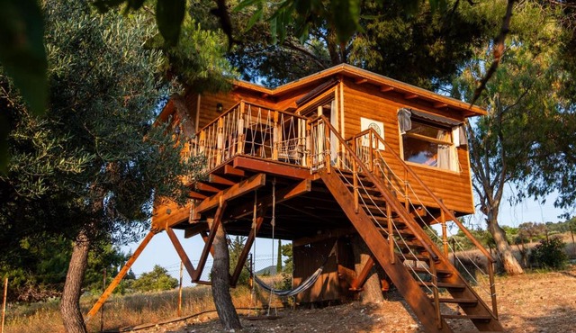the Treehouse Project
