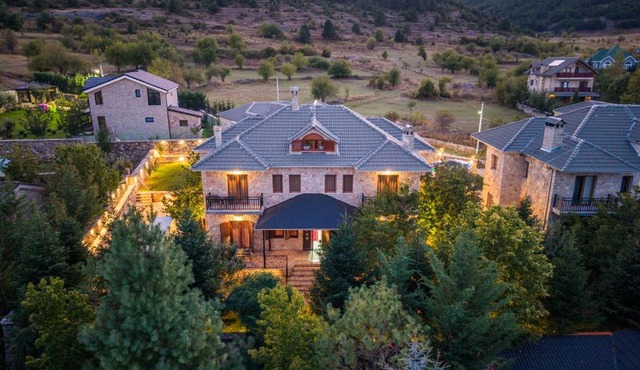 Vila Olea in Voskopojë