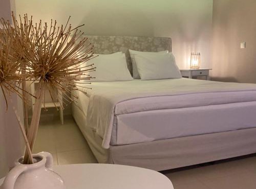 Vito's Parga View Apartments