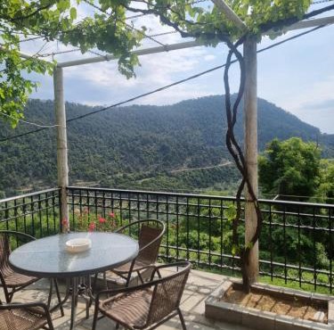 Zeus Apartman in Panagia