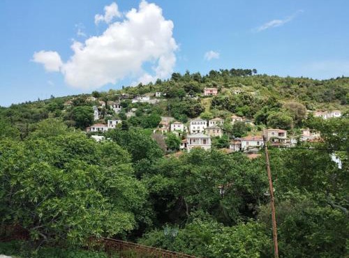 Zina's Cottage in Afetes
